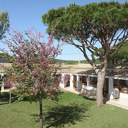 Hostal Las Acacias Los Canos De Meca Εξωτερικό φωτογραφία