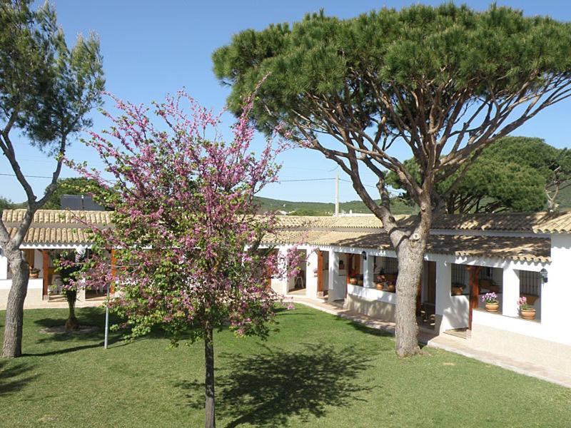Hostal Las Acacias Los Canos De Meca Εξωτερικό φωτογραφία