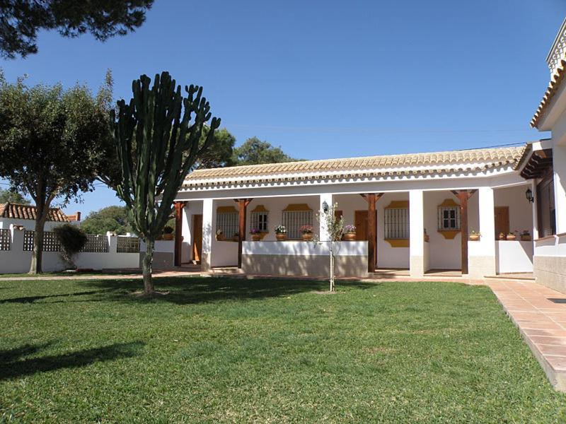 Hostal Las Acacias Los Canos De Meca Εξωτερικό φωτογραφία